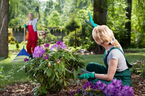 Professionals clearing garden debris in Twickenham