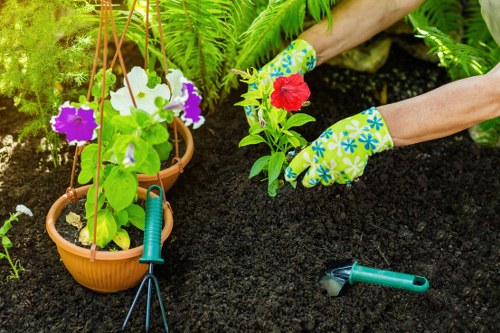 In a garden scene, a person is planting new flowers in rich, dark soil using their hands, which are protected by colourful gardening gloves featuring a blue flower pattern. To the left, three terracotta pots are hanging from a wooden structure, containing vibrant flowering plants with purple, white, and pink blooms. The background includes lush green fern leaves and other garden foliage, suggesting a well-maintained outdoor space in Twickenham, close to postcode TW1 or TW2. On the ground, gardening tools such as a small hand-held rake and pruning shears are visible, indicating active garden maintenance. The patio surface appears to be made of stone or concrete, and the overall scene is illuminated by natural daylight, creating a bright and inviting outdoor environment. This image reflects a typical gardening activity in a landscaped yard or front garden, with attention to detail in plant care and outdoor layout, relevant to professional gardening services provided by Landscapers Twickenham.