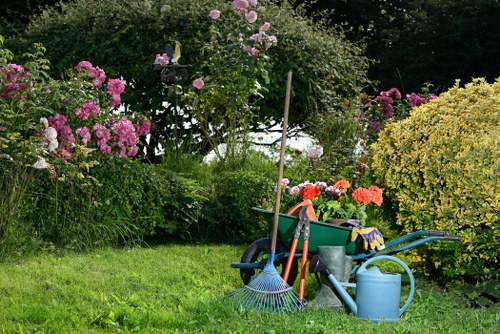 Professional garden maintenance by Twickenham experts