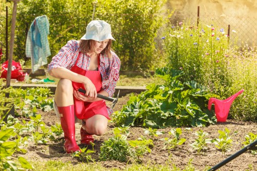 Sustainable garden features in a Twickenham landscape