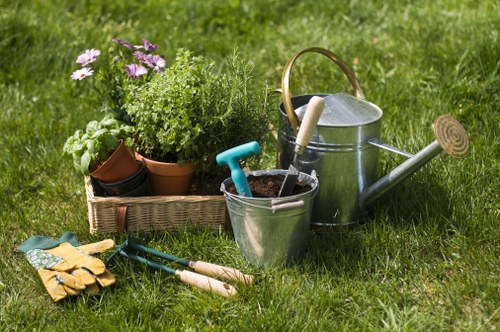 Healthy trees after professional care