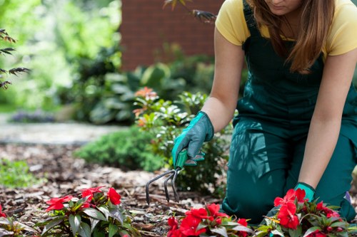 A person wearing a yellow top, teal gardening apron, and gardening gloves is kneeling in a landscaped garden in Twickenham, tending to a flower bed with vibrant red flowers and green foliage. The garden features a neat area of soil bordered by a variety of plants, including leafy shrubs and flowering bushes, with a lush, well-maintained lawn in the foreground. In the background, there are additional plant beds and a brick wall, indicating a residential outdoor space designed with a mix of decorative and functional garden features. The scene is illuminated by natural daylight, suggesting clear weather and a bright environment suitable for gardening activities, aligning with professional gardening and landscaping services offered in the Twickenham area by Landscapers Twickenham.