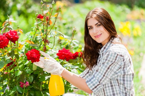 A young woman with long brown hair dressed in a light plaid shirt is engaged in gardening outdoors in a lush garden setting, holding pruning shears and a yellow spray bottle as she tends to vibrant red flowering roses. The garden features a well-maintained lawn area in the foreground with dense flower beds filled with blooming red roses and pink flowers, bordered by green foliage and small shrubs. Behind her, a mix of trees and hedges provide shade and structure to the landscaped yard, which appears to be part of a suburban garden in Twickenham. The scene is brightly lit by natural sunlight, suggesting a clear day with warm weather. The environment displays a combination of natural green tones, colorful blooms, and tidy garden elements, reflecting professional garden maintenance services typically offered by companies like Landscapers Twickenham. The areas of soil are visible around the flower beds, with a paved pathway or patio section partially visible at the edge of the image, emphasizing an outdoor space designed for relaxation and gardening activities.