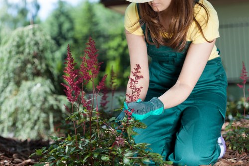 In the image, a woman is working in a garden with a focus on planting or tending to flowering plants. She is dressed in a yellow top and teal gardening overalls, kneeling on the soil. Her right hand, protected by a teal gardening glove, is gently handling a cluster of pinkish-red flowers, which appear to be part of a decorative perennial plant. The garden features a well-maintained lawn area with dense, lush green grass in the foreground, bordered by dark, healthy soil. Behind her, there are various shrubs and small trees, contributing to a vibrant and natural outdoor environment typical of a back garden in Twickenham. The setting appears to be during daytime with natural light, and a garden shed or outbuilding with a green exterior can be seen in the background. This scene highlights professional garden maintenance or planting work, aligned with services such as gardening and landscaping offered by Landscapers Twickenham.