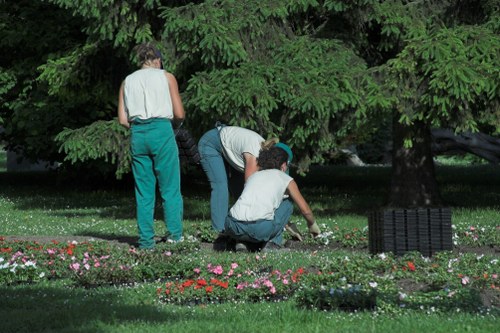 Cost-effective hedge trimming services in Twickenham
