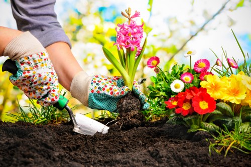 A person wearing gardening gloves is planting a pink hyacinth bulb into dark, moist soil in a garden bed, surrounded by a variety of colorful flowers including red, yellow, white, and pink blooms, with lush green foliage and a background of blurred trees and blue sky indicating a sunny day, indicative of outdoor gardening activities in a well-maintained garden space in Twickenham. The scene highlights detailed textures of soil, plant stems, and flower petals, fitting within a landscaped outdoor environment in South West London, with professional lawn and garden care services such as those offered by Landscapers Twickenham.