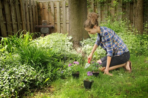 A young woman with curly brown hair, wearing a blue checked shirt and dark jeans, is kneeling on a lush green lawn in a residential garden. She is engaged in planting or tending to small flowering plants in black containers, which are arranged in a semi-circle around her. The garden features a variety of plants, including dense green shrubs and flowering perennials with purple and white blossoms, situated near a large tree with a textured trunk. In the background, a wooden fence encloses the garden, and a small metal barbecue or heater is visible partially obscured by foliage. The environment appears well-maintained, with natural sunlight illuminating the scene, highlighting the shades of green and vibrant flower colours, creating a peaceful outdoor space suitable for gardening activities and lawn care services in Twickenham or nearby areas. This scene reflects typical garden maintenance and planting work within a landscaped backyard, supporting professional gardening services provided by Landscapers Twickenham.