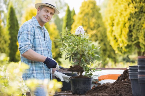 The image shows a man working outdoors in a garden in Twickenham, wearing a light-colored hat, a blue checked shirt, and gloves, while tending to a potted flowering shrub with white flowers and green foliage. He is using a small hand trowel to plant or transplant the shrub into a garden bed that contains rich, dark soil. In the background, there are neatly arranged stacks of empty plant pots, and the garden features a well-maintained lawn with dense, tall trees providing shade and a natural backdrop. The overall scene is bright and sunny, indicating a clear day, with natural light illuminating the lush greenery and colorful garden elements, supporting professional gardening services offered by Landscapers Twickenham for outdoor garden maintenance and landscaping in the local area.