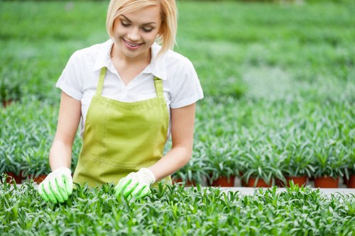 A young woman with short blonde hair, wearing a white shirt, a bright green apron, and matching gardening gloves, is working in a well-maintained garden nursery. She is tending to small green potted plants with dense, healthy foliage, arranged in neat rows on a gardening bench. The background features additional rows of potted plants, suggesting a professional gardening or landscaping environment in Twickenham. The outdoor setting is well-lit with natural daylight, and the overall scene reflects a clean, organized gardening space suitable for landscaping and gardening services offered by Landscapers Twickenham. The garden area appears professionally maintained, with lush green grass and a tidy arrangement of plants in a typical local nursery or garden centre setting, reinforcing the focus on gardening and outdoor plant care services in the Twickenham area.