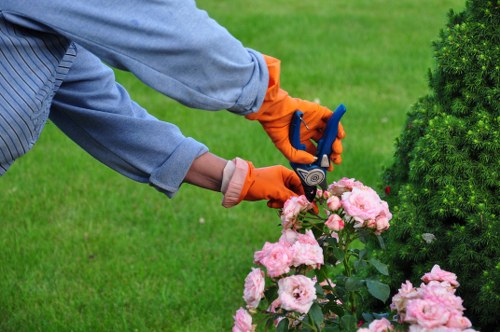 Pest management in a Twickenham garden