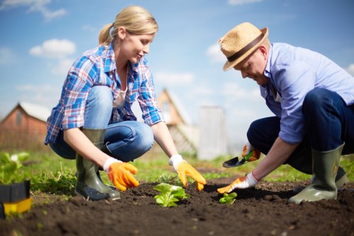 A woman and a man working together in a garden, planting a young green leafy plant in freshly turned dark soil. The woman, wearing a blue plaid shirt, jeans, and yellow gardening gloves, is crouched down on her knees, holding the plant steady as she prepares to place it into the ground. The man, dressed in a light blue shirt, dark trousers, a straw hat, and green rubber boots, is also crouched and using a trowel to assist with the planting process. The garden is part of a landscaped outdoor space with neatly mown grass, a wooden fence in the background, and a few outbuildings visible under a clear, blue sky. The scene is well-lit, suggesting a sunny day, emphasizing natural tones of green, brown, and blue, and reflecting a peaceful, well-maintained garden environment suitable for gardening and outdoor improvement services by Landscapers Twickenham.