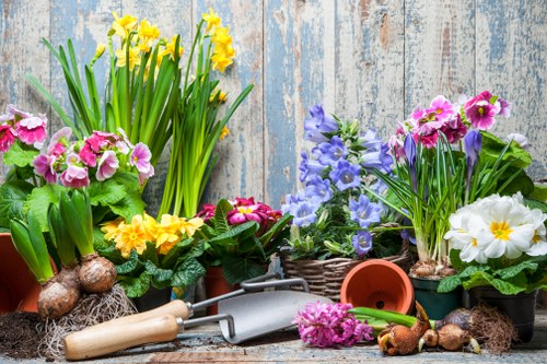 Seasonal garden maintenance activities