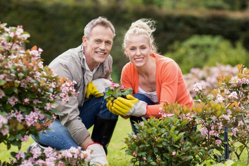 Tools used for garden clearance